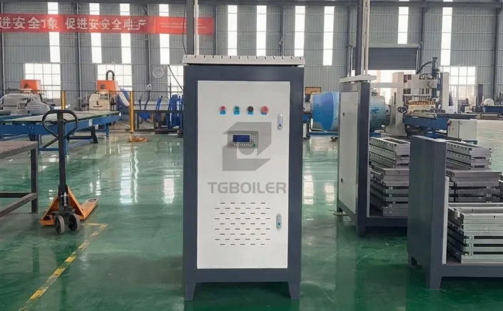 48 kW Electric Steam Generator Successfully Completed, Set to Ship to South Korea