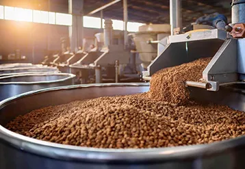 How to Choose the Right Steam Boiler for a Feed Mill: Complete Buying Guide